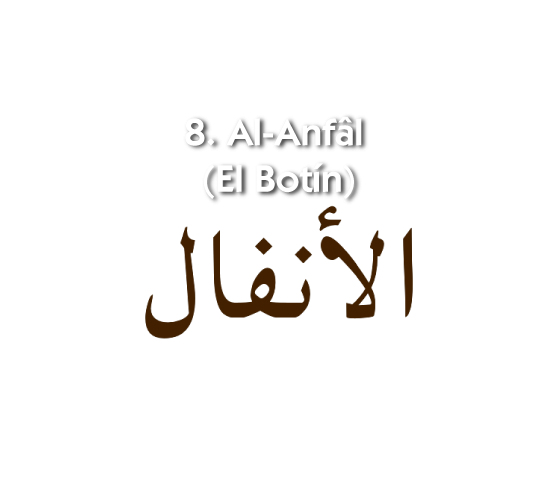 8. Al-Anfâl (El Botín)