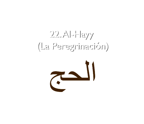 22. Al-Hayy (La Peregrinación)