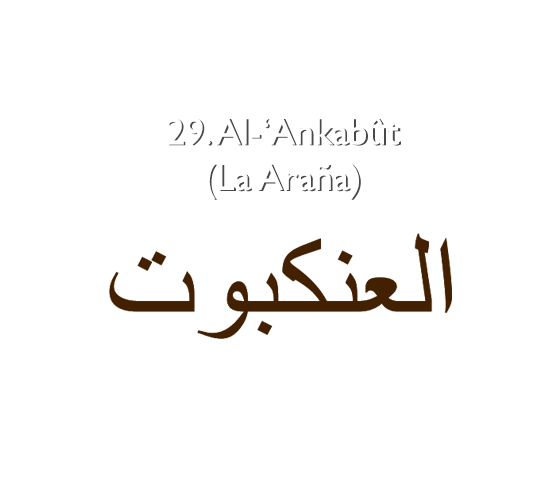 29. Al-‘Ankabût (La Araña)